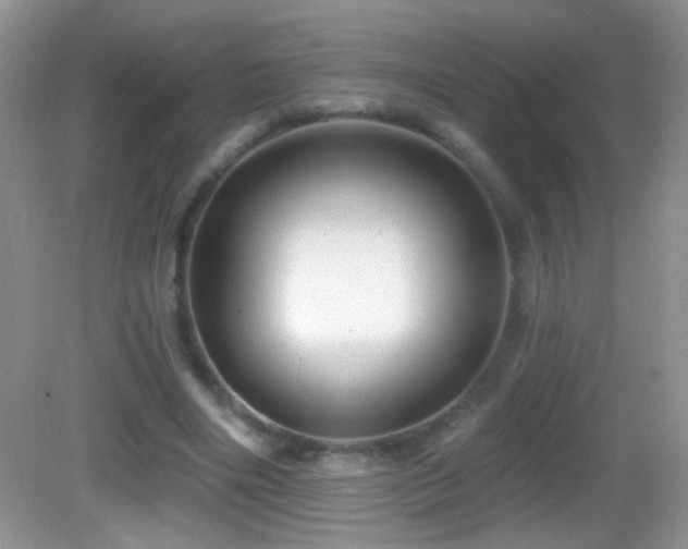 X0000083070490200702021259