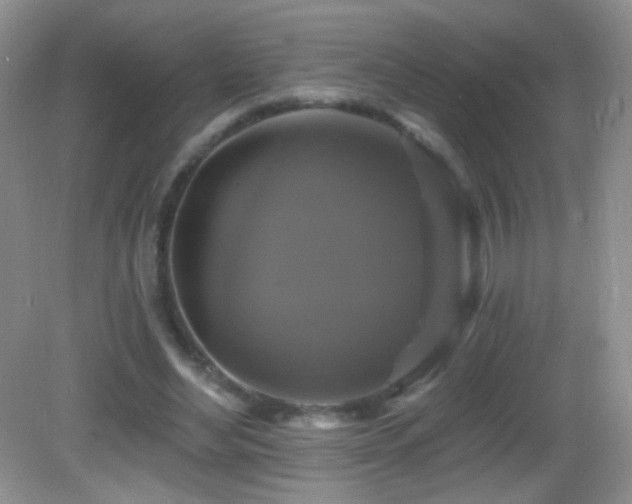 X0000083070492200702021259