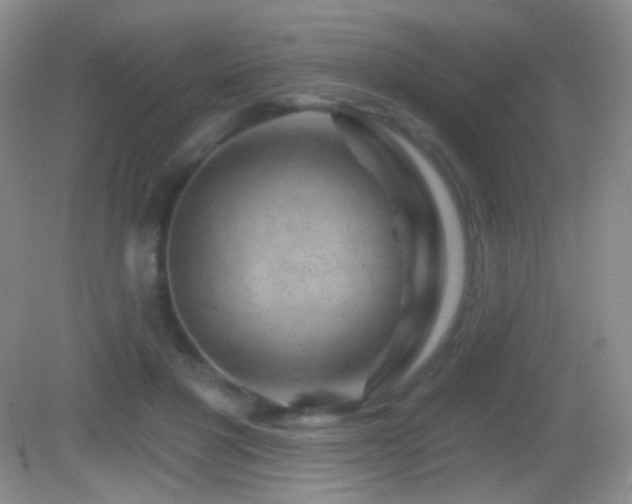 X0000083070501200702021258
