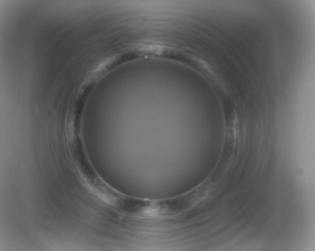 X0000083070504200702021258
