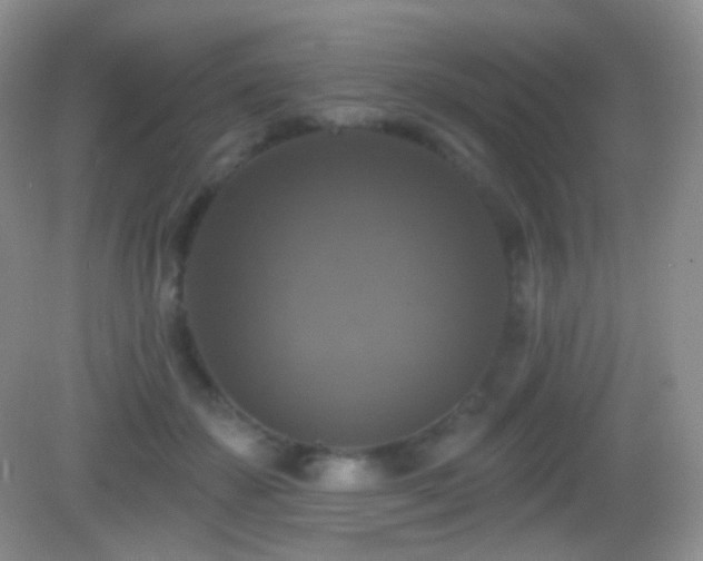 X0000083070507200702021258