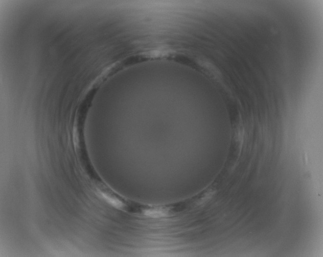 X0000083070516200702021258