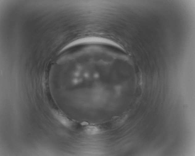 X0000083070519200702021258