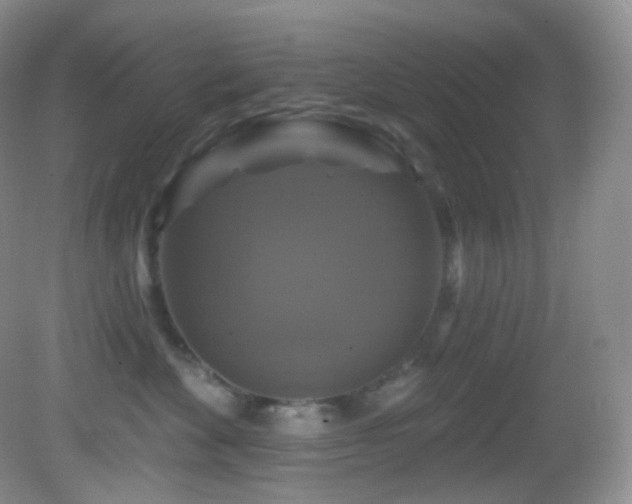 X0000083070524200702021258