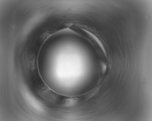 X0000083070525200702021258