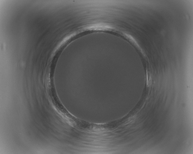 X0000083070531200702021257