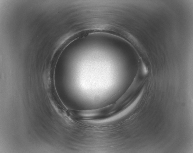 X0000083070532200702021257