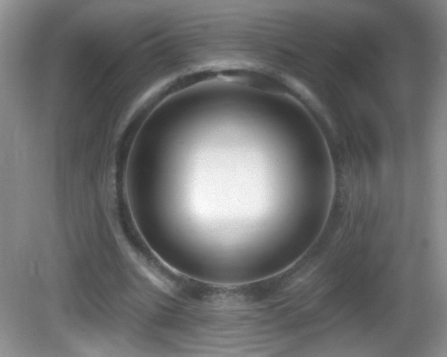 X0000083070535200702021257