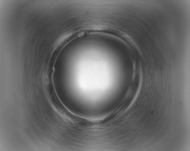X0000083070536200702021257