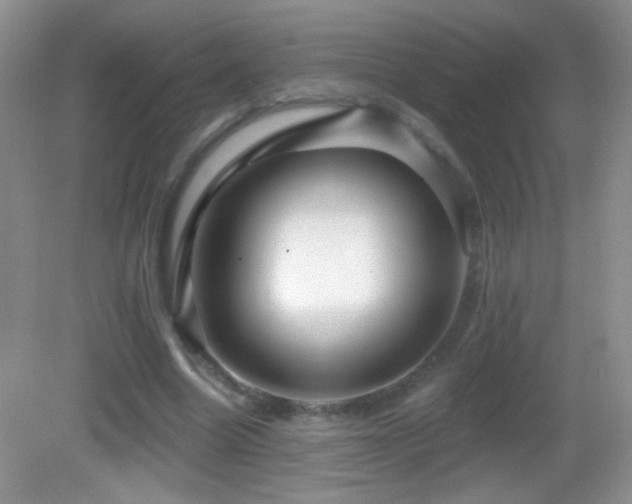 X0000083070538200702021257