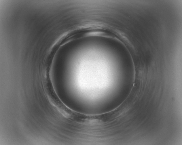 X0000083070539200702021257