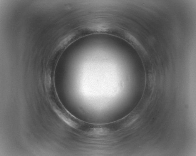 X0000083070541200702021257