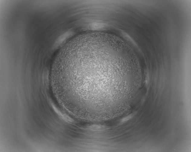 X0000083070542200702021257