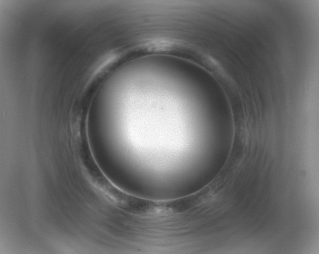 X0000083070543200702021257