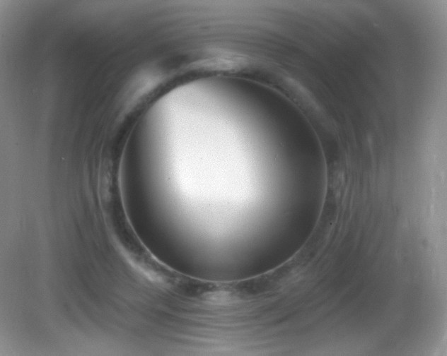 X0000083070544200702021257