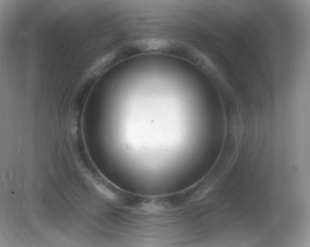 X0000083070545200702021257