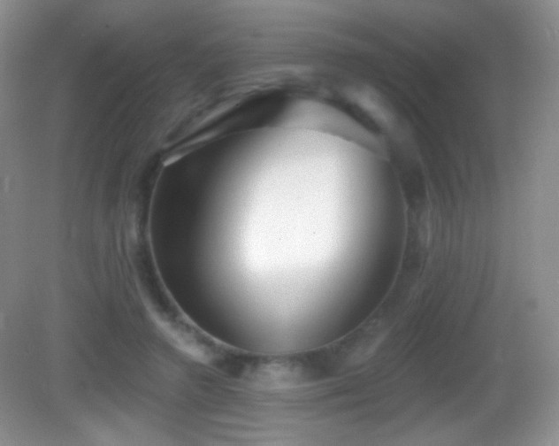 X0000083070546200702021257