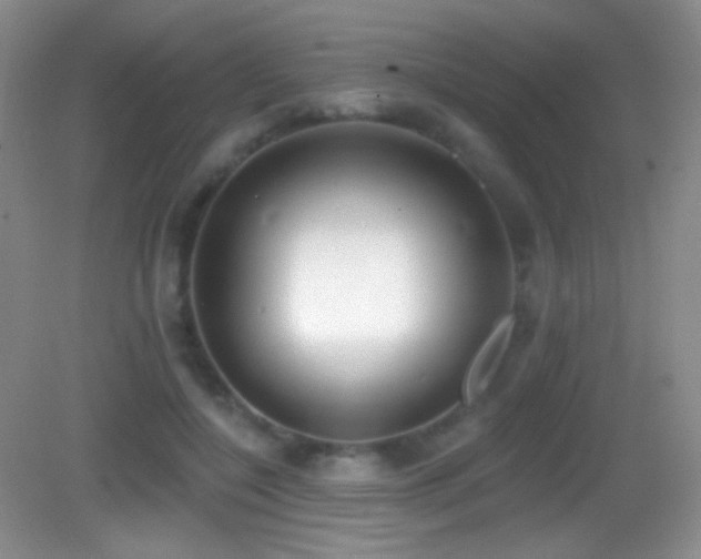 X0000083070548200702021257