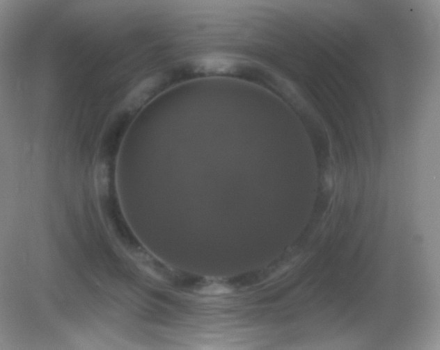 X0000083070551200702021257