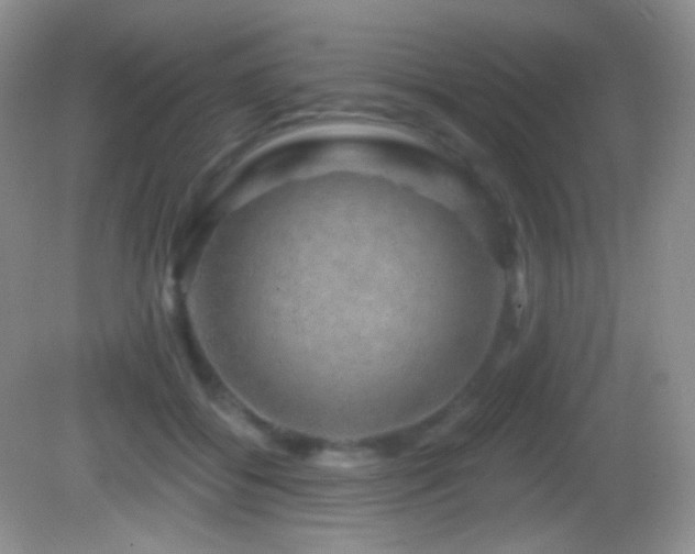 X0000083070556200702021258