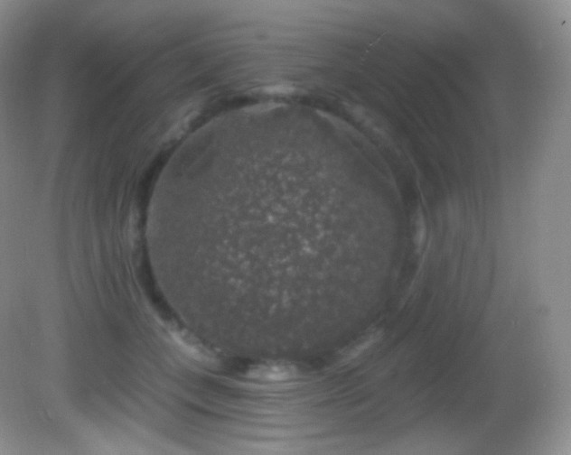 X0000083070559200702021258