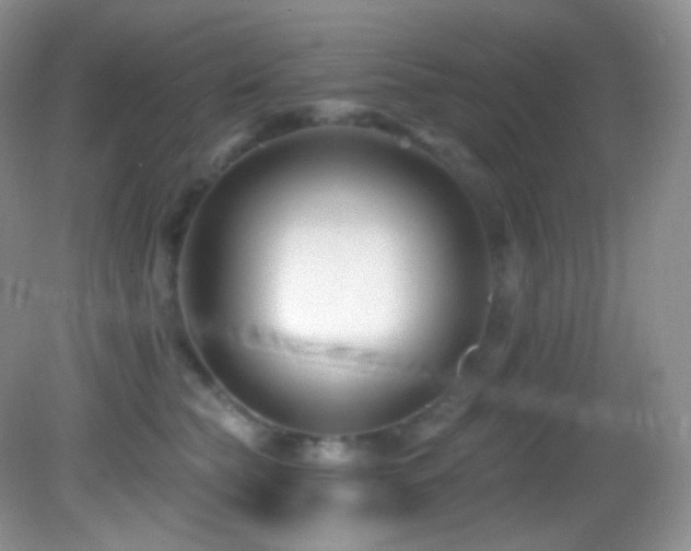 X0000083070565200702021258