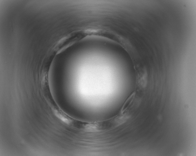 X0000083070574200702021258