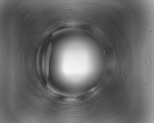 X0000083070575200702021258