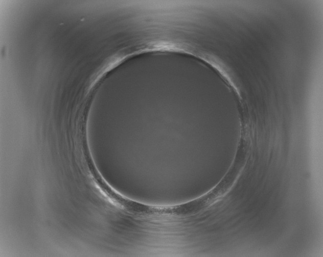 X0000083070577200702021257