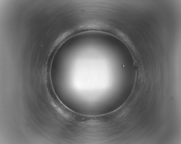 X0000083070578200702021257