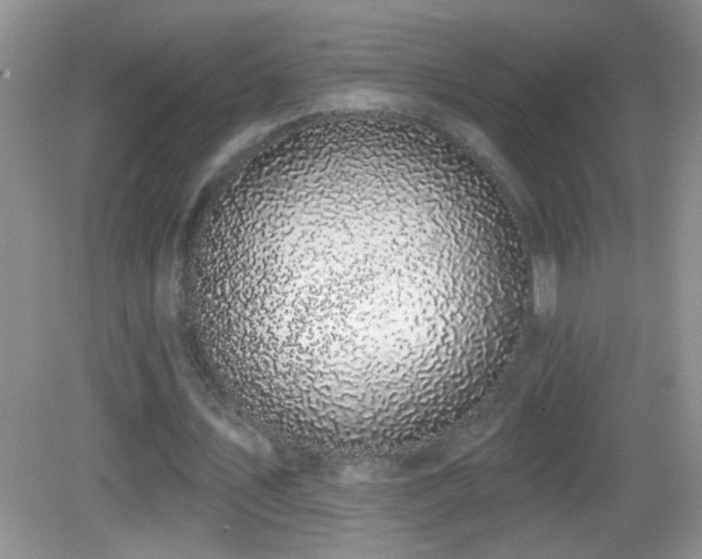 X0000083070579200702021257