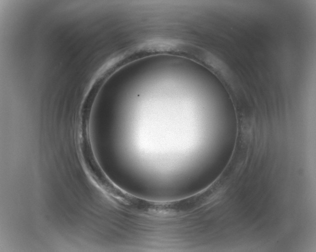 X0000083070582200702021257