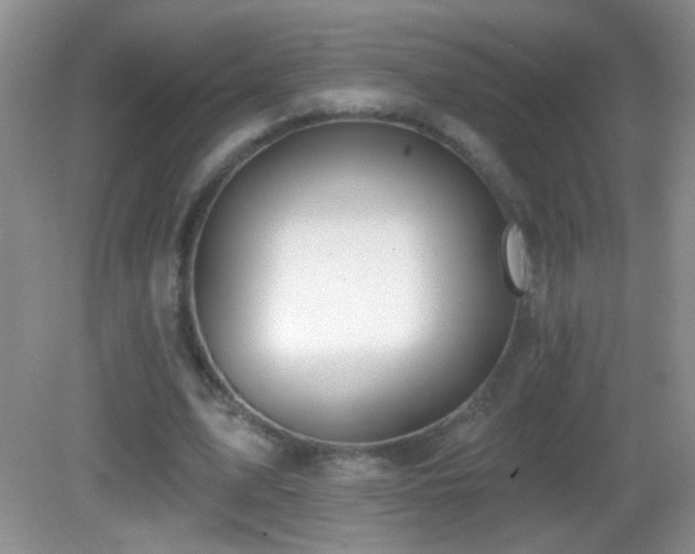 X0000083070583200702021257