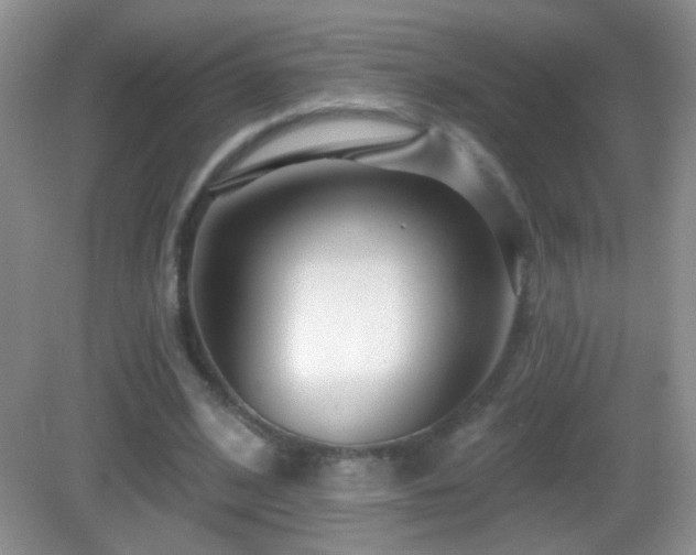 X0000083070584200702021257