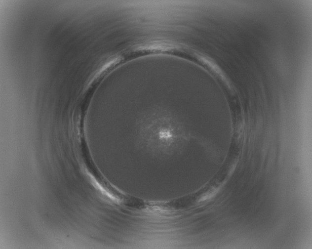 X0000083070585200702021257