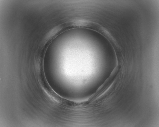 X0000083070586200702021257
