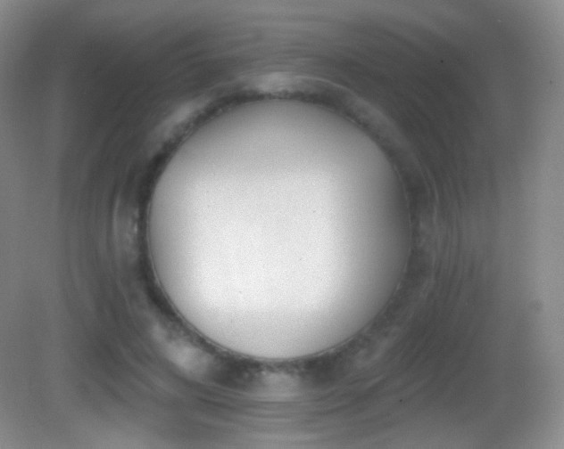 X0000083070592200702021257