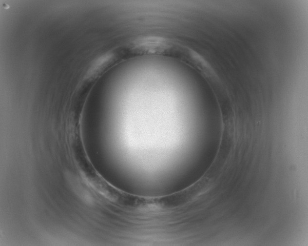 X0000083070594200702021257