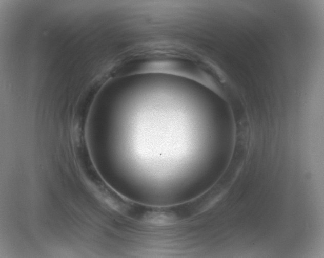 X0000083070597200702021257