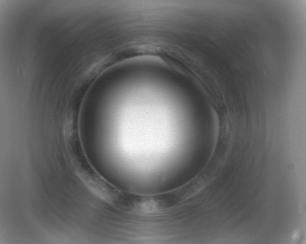 X0000083070600200702021257