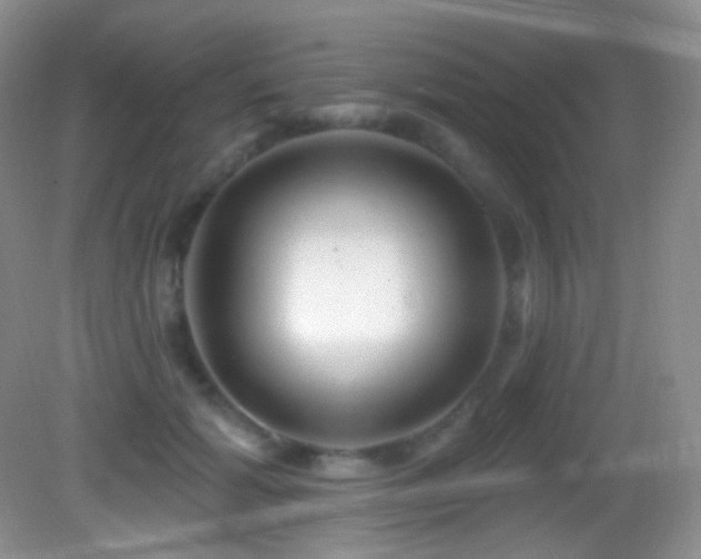 X0000083070605200702021257