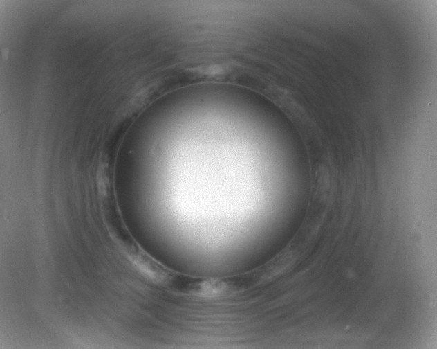 X0000083070612200702021256