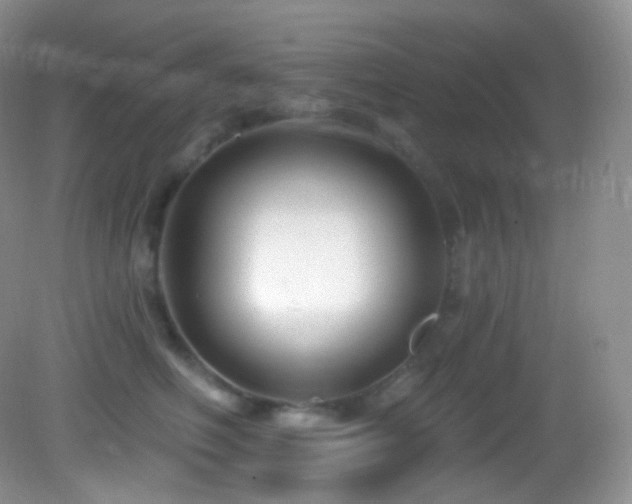 X0000083070614200702021256