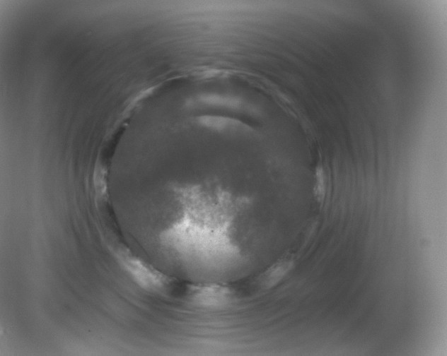 X0000083070621200702021256