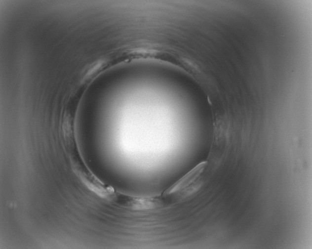 X0000083070623200702021256