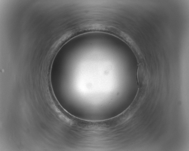 X0000083070625200702021255