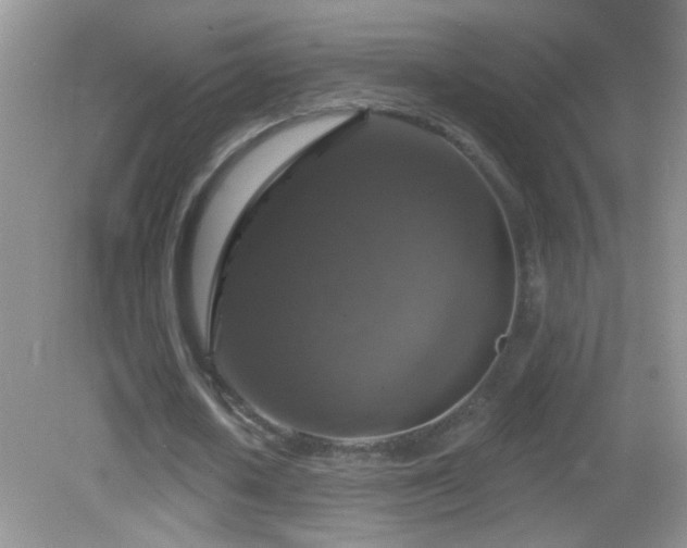X0000083070626200702021255