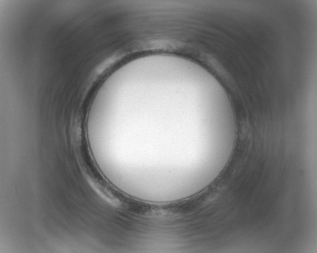X0000083070632200702021256