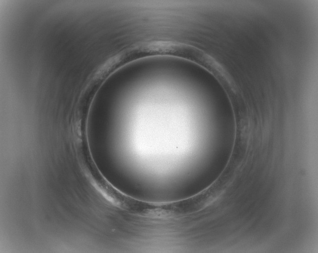 X0000083070633200702021256