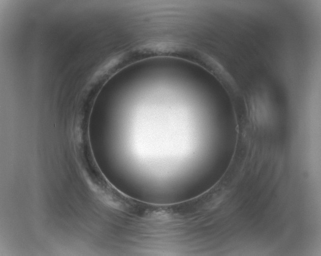 X0000083070635200702021256